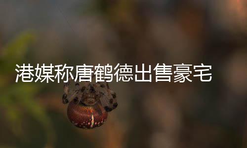 0万2年鹤德豪宅货1港媒称唐出售 持超5升值